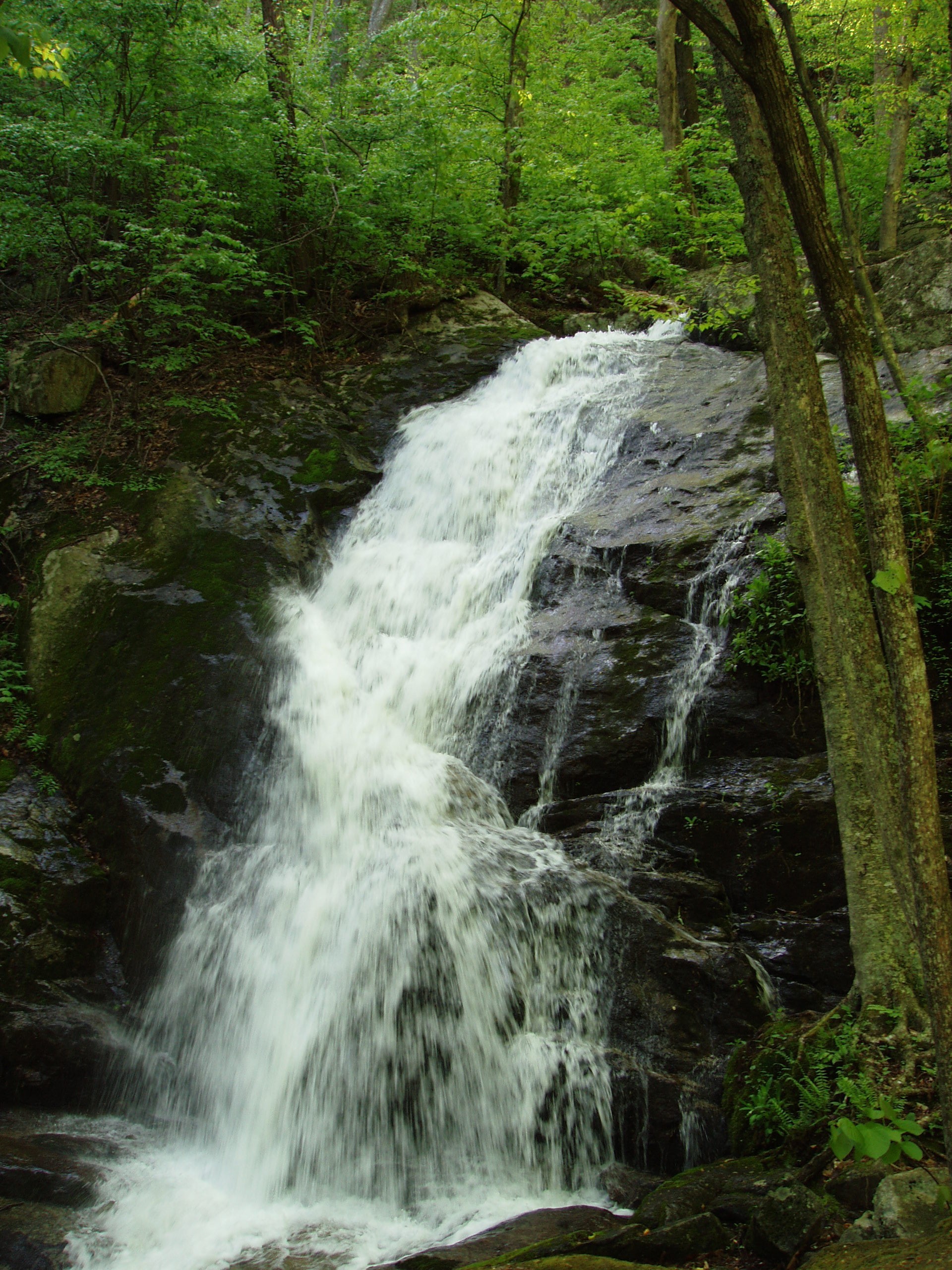 Crabtree Falls